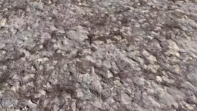 Dirty and rough terrain 1 Texture