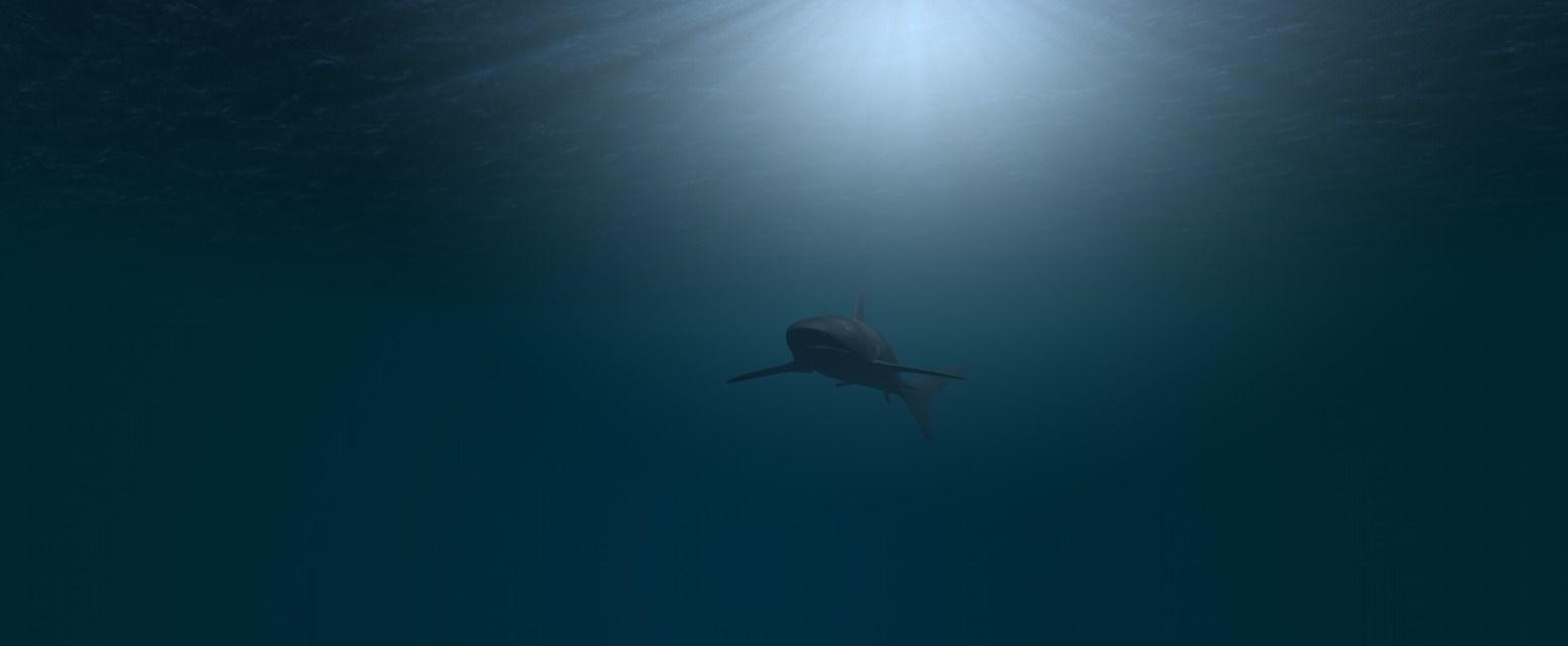 Shark scene 3D model_1