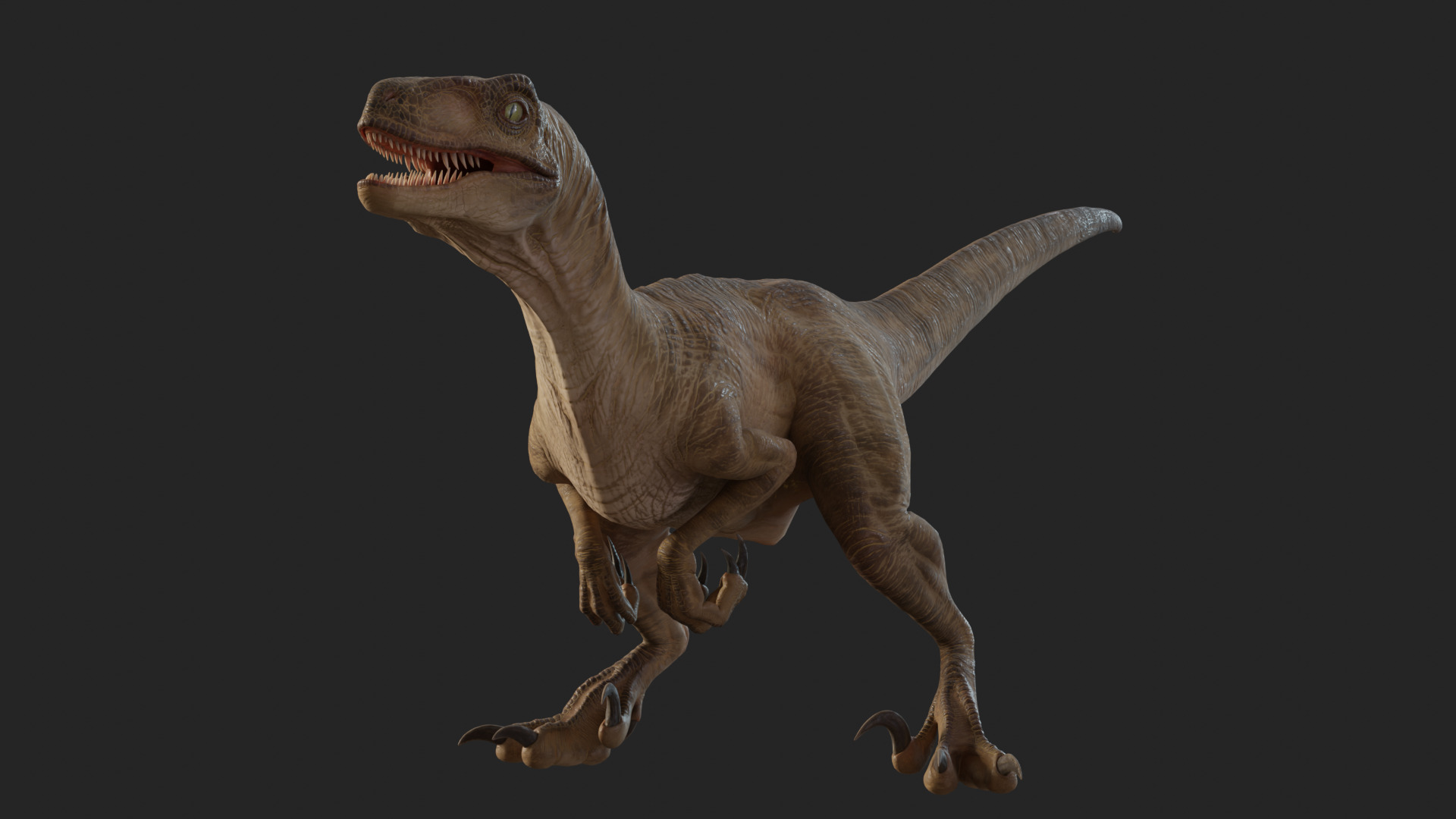 Jurassic Park Park Velociraptor Blender Low-poly 3D model_24
