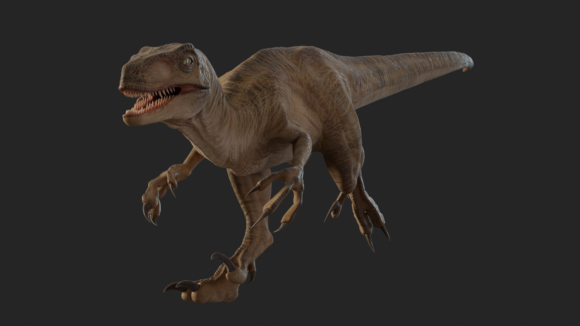Jurassic Park Park Velociraptor Blender Low-poly 3D model_21