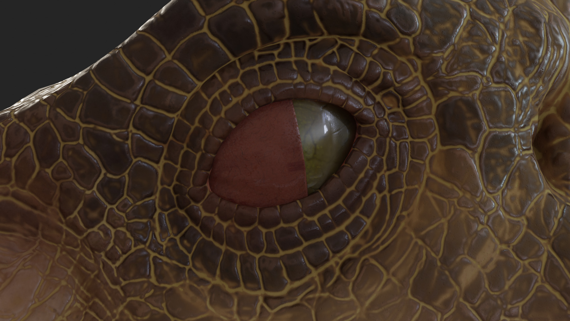 Jurassic Park Park Velociraptor Blender Low-poly 3D model_12