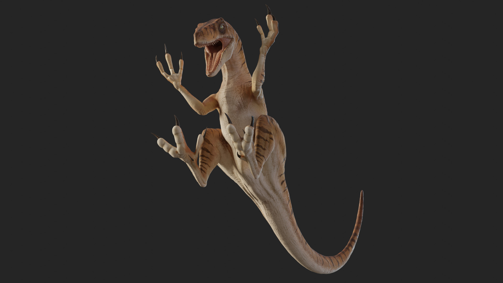 Jurassic Park Park Velociraptor Blender Low-poly 3D model_27