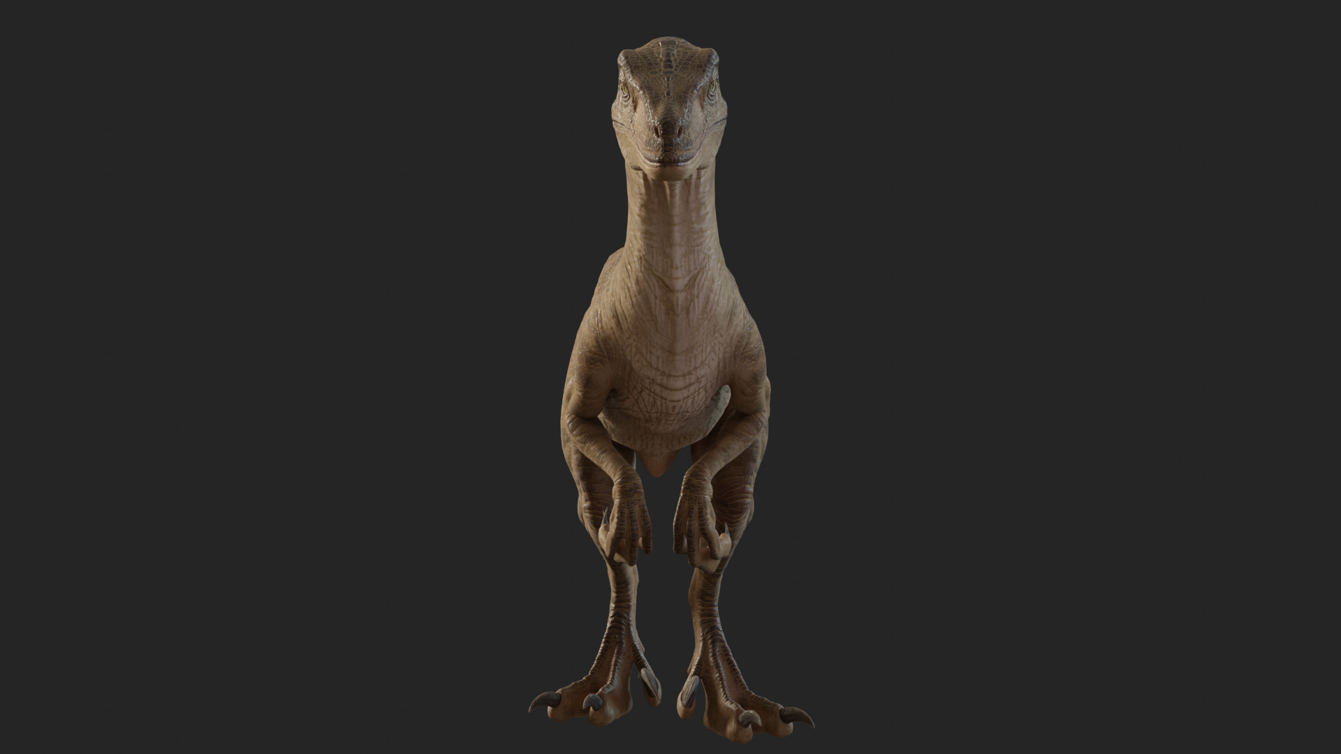 Jurassic Park Park Velociraptor Blender Low-poly 3D model_7
