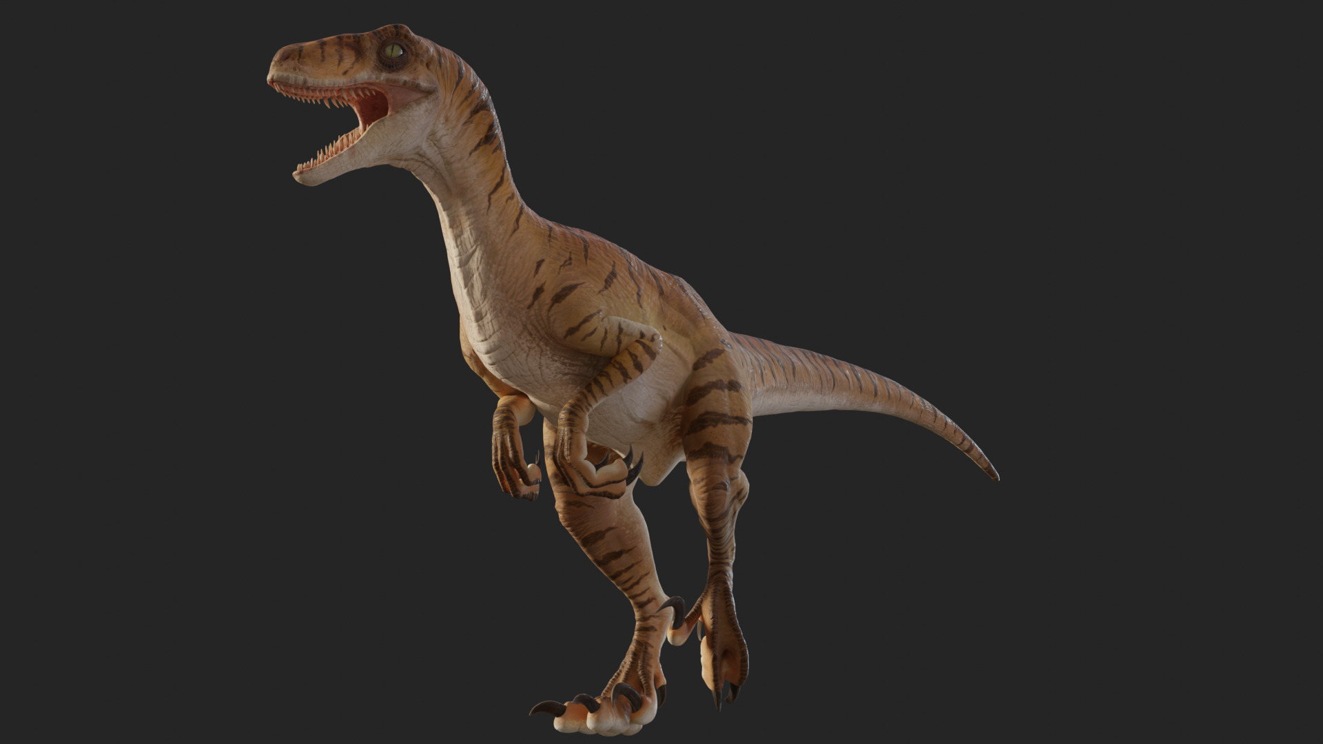 Jurassic Park Park Velociraptor Blender Low-poly 3D model_26