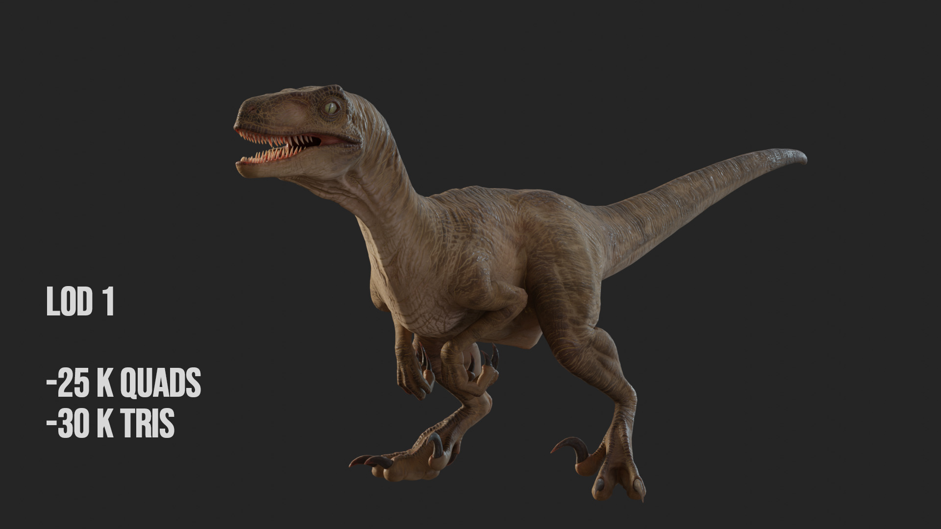 Jurassic Park Park Velociraptor Blender Low-poly 3D model_31