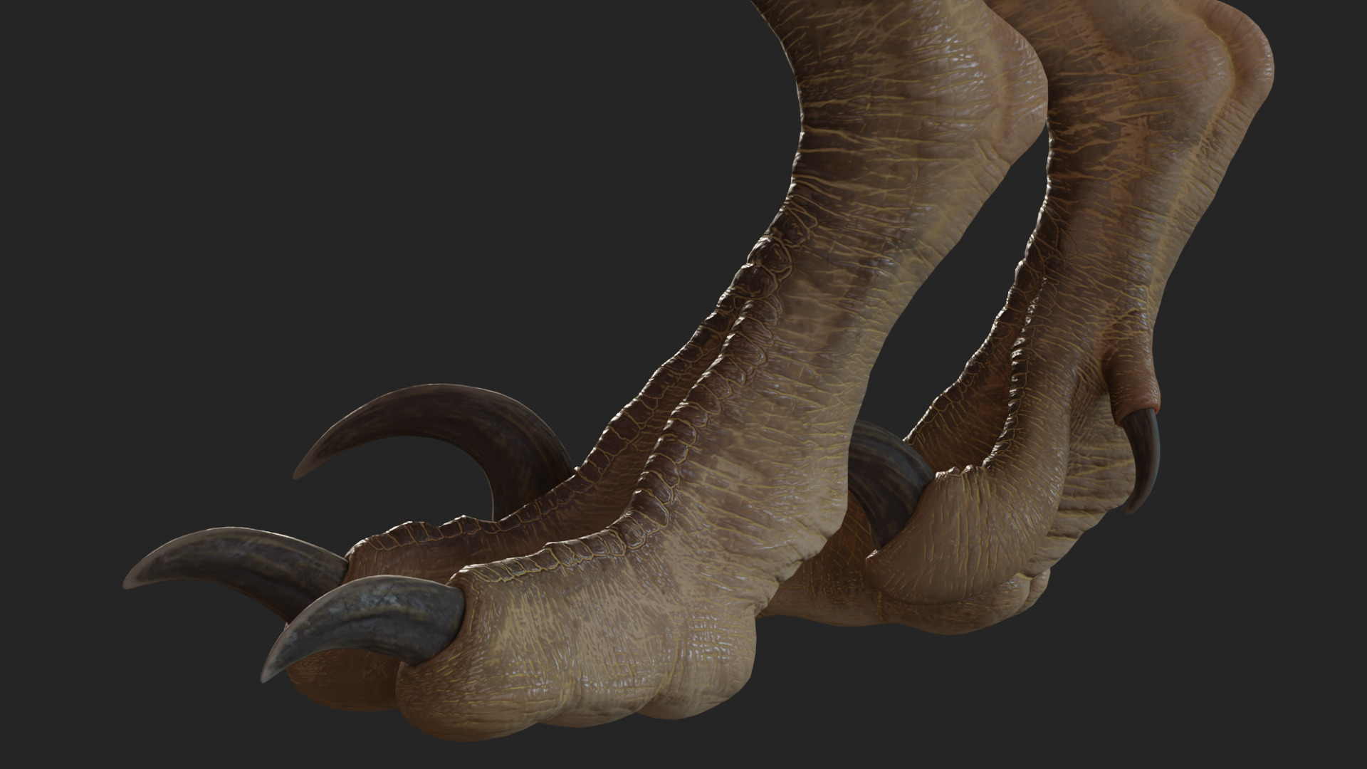 Jurassic Park Park Velociraptor Blender Low-poly 3D model_8