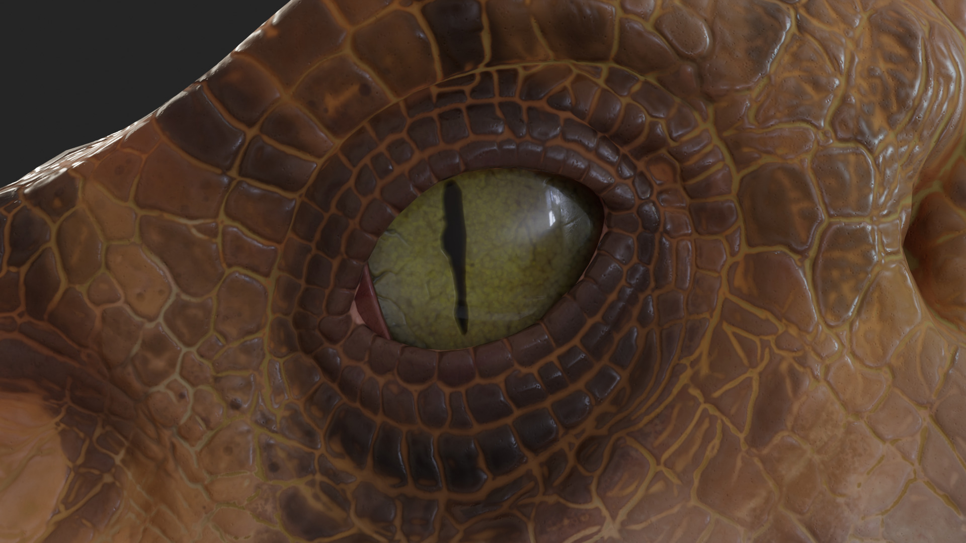 Jurassic Park Park Velociraptor Blender Low-poly 3D model_11