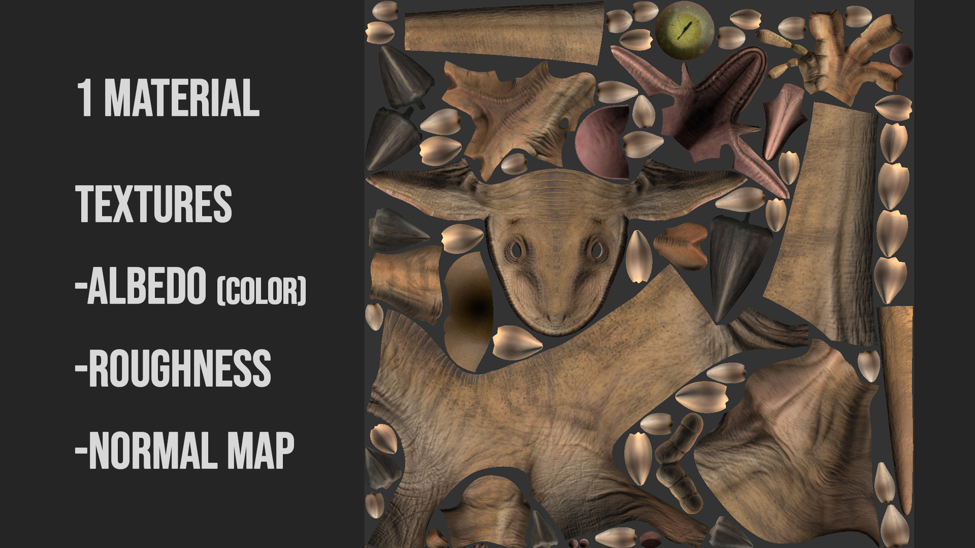 Jurassic Park Park Velociraptor Blender Low-poly 3D model_20