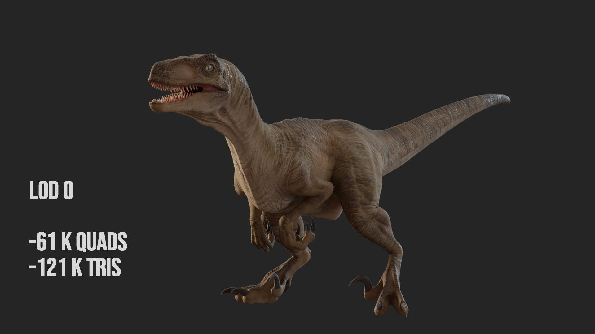 Jurassic Park Park Velociraptor Blender Low-poly 3D model_28