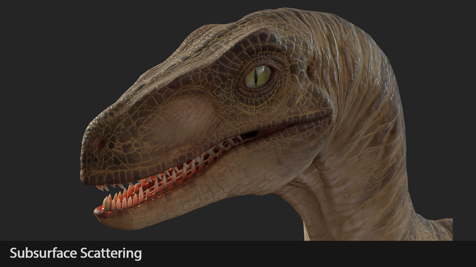 Jurassic Park Park Velociraptor Blender Low-poly 3D model_16