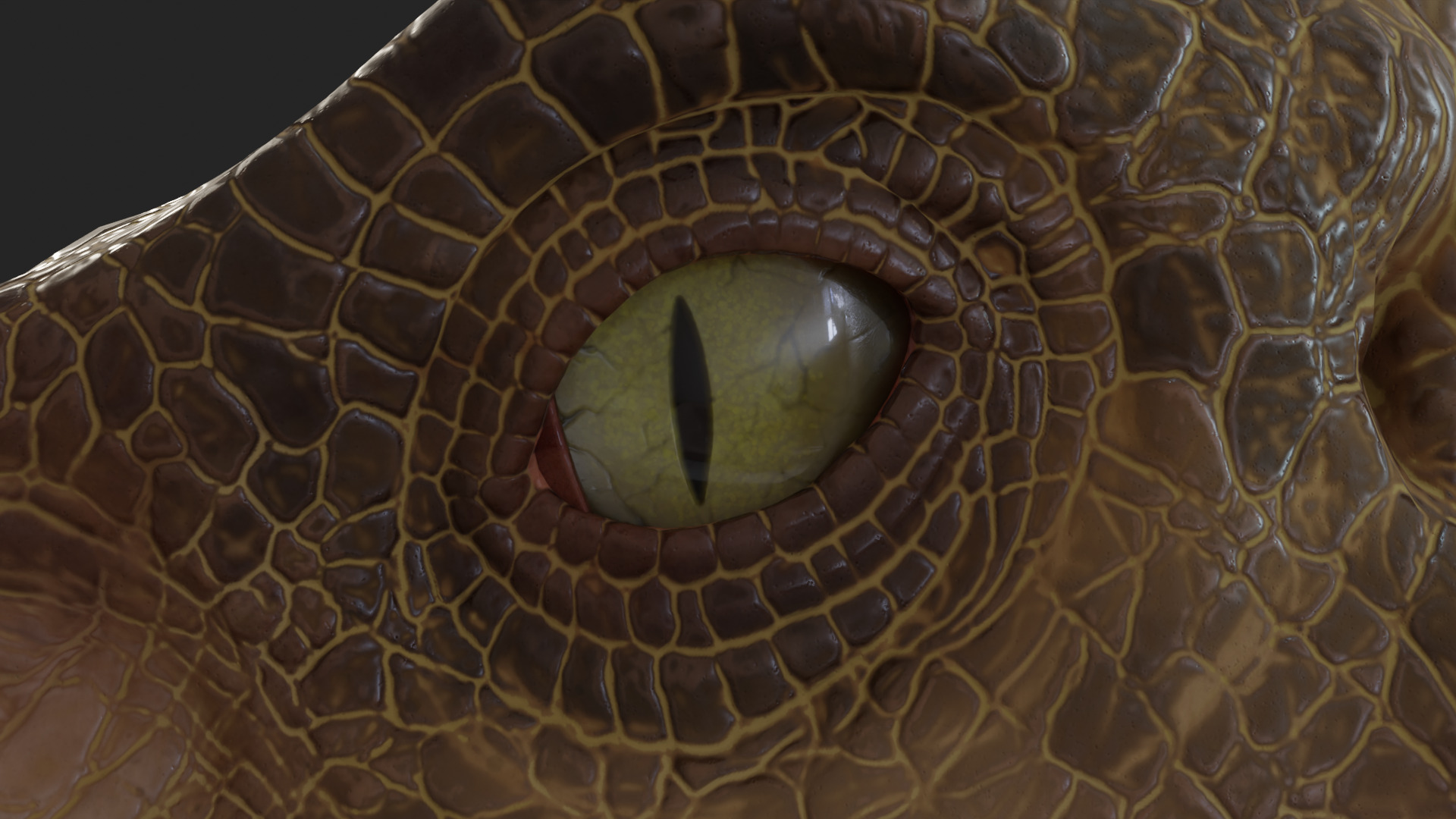 Jurassic Park Park Velociraptor Blender Low-poly 3D model_10