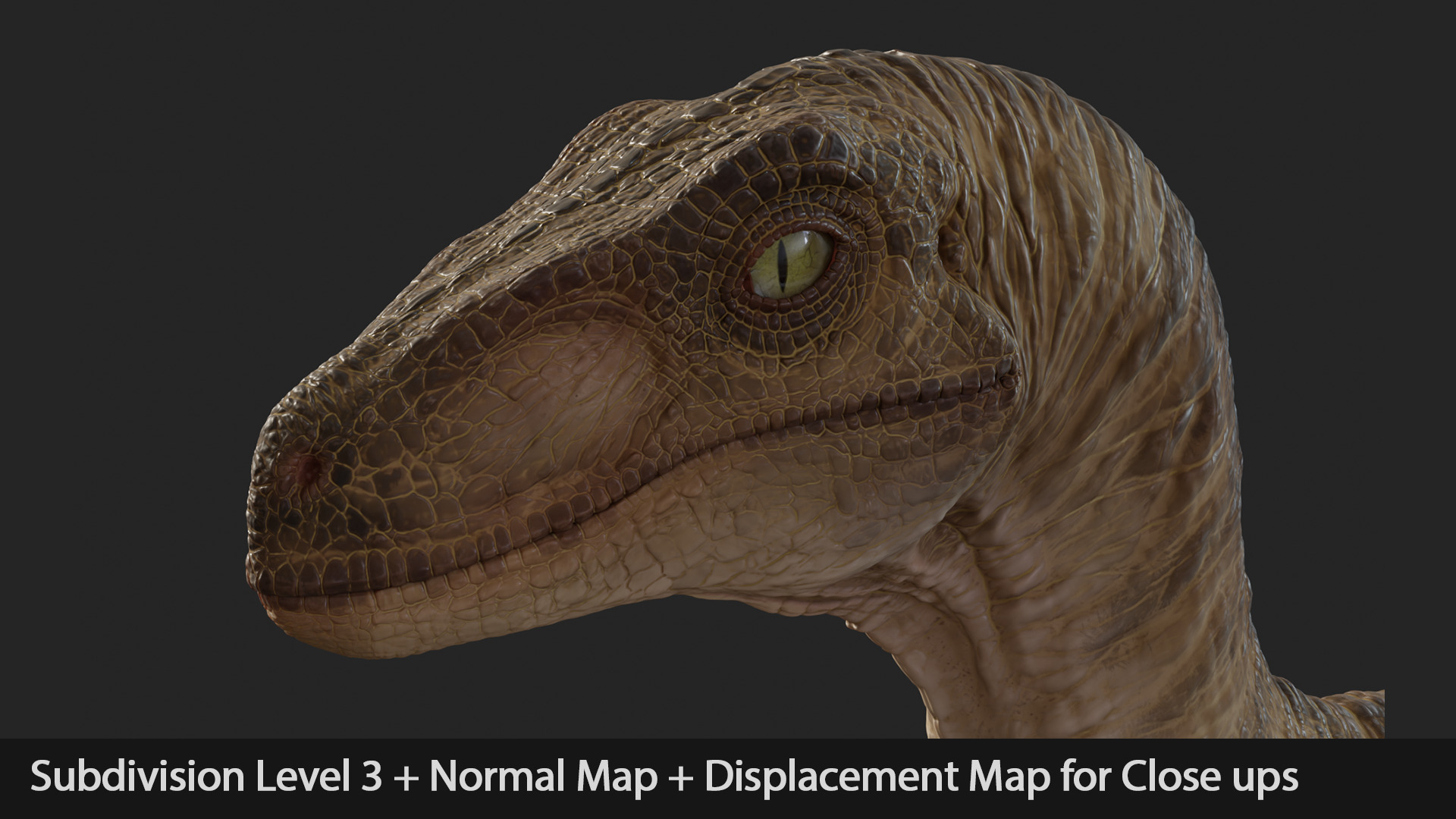 Jurassic Park Park Velociraptor Blender Low-poly 3D model_15