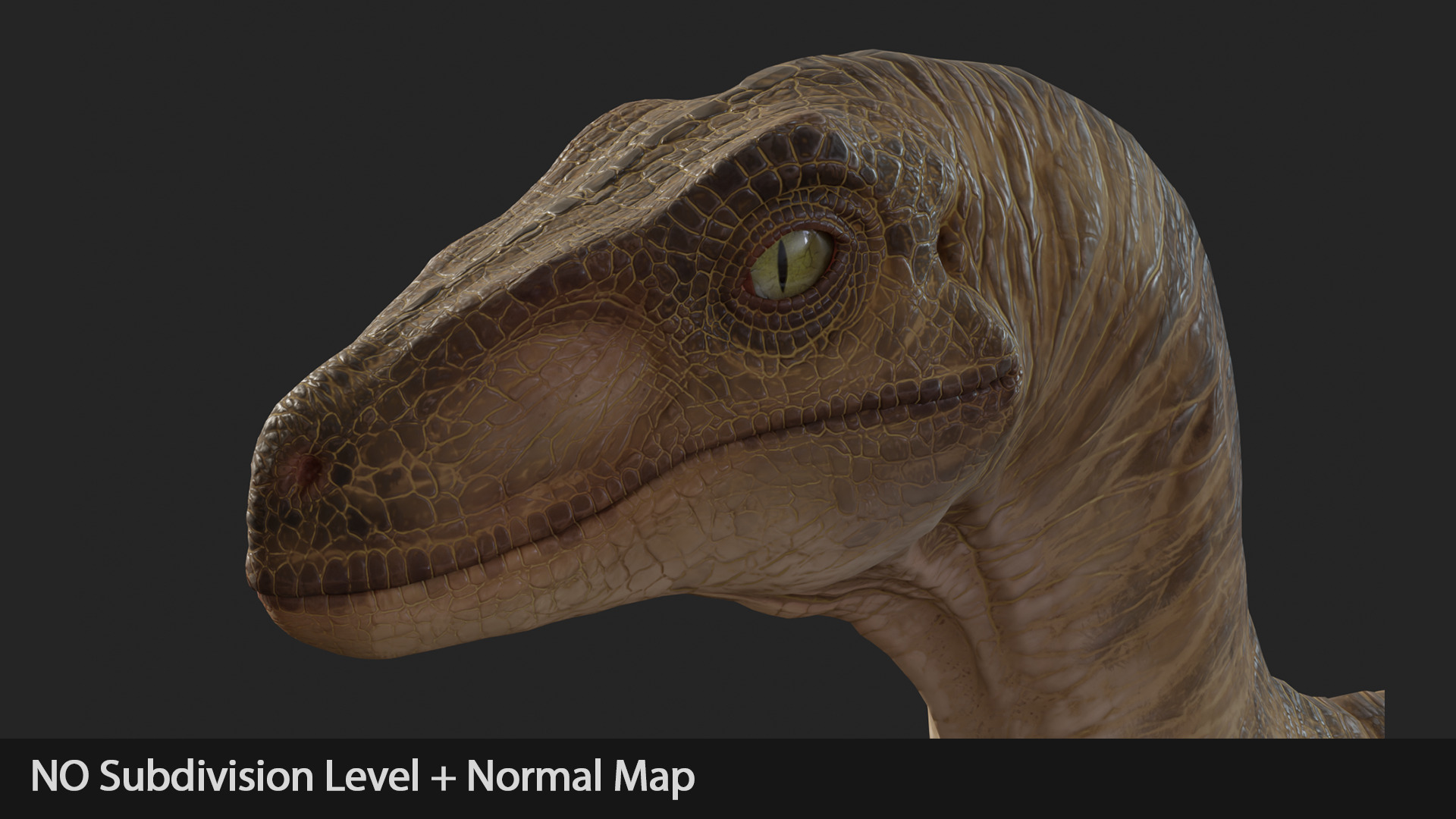 Jurassic Park Park Velociraptor Blender Low-poly 3D model_14