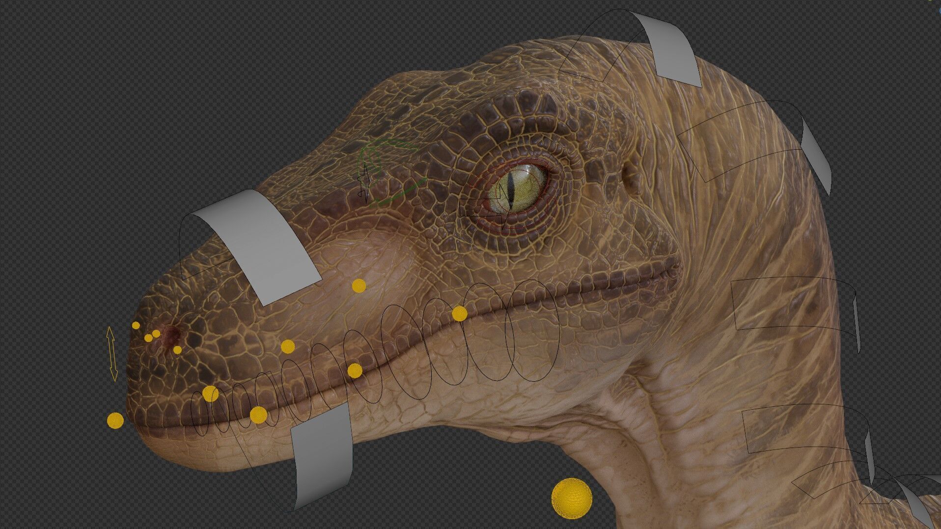 Jurassic Park Park Velociraptor Blender Low-poly 3D model_13
