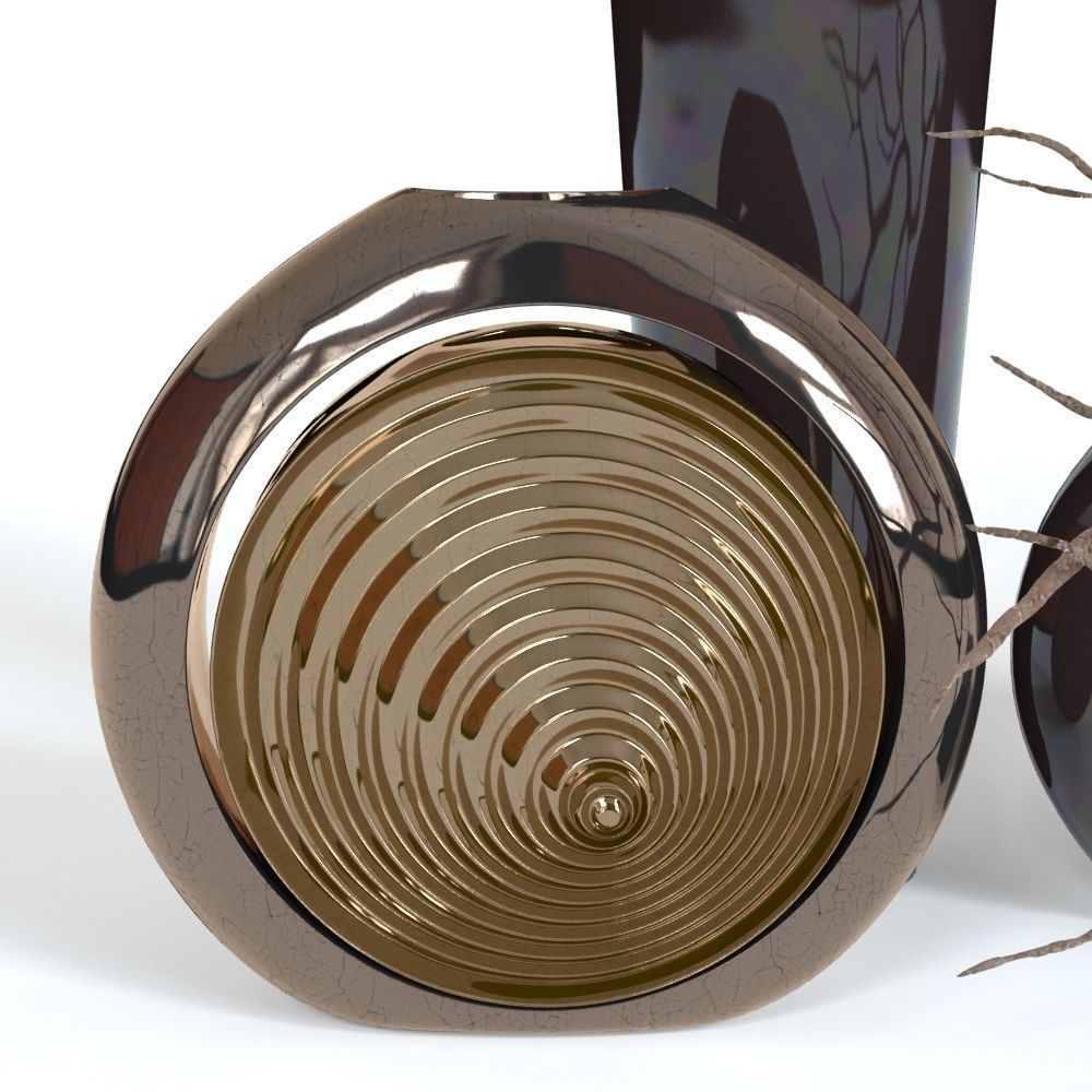 Black Vases and Decorative Branch 3D model_3