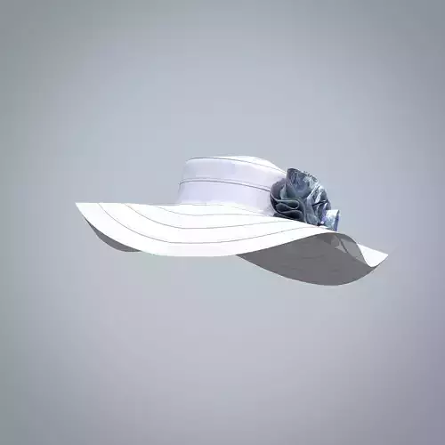 wide brim summer hat