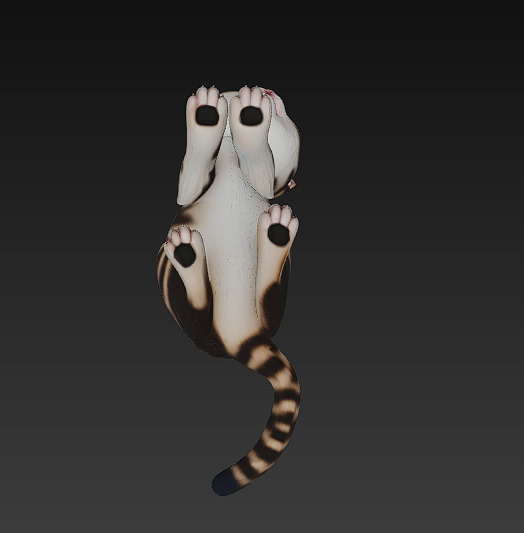 Cat Kitten Realistic 3D Model Basic - Low Poly Realistic Low-poly 3D model_10