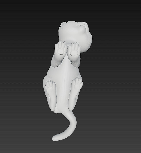 Cat Kitten Realistic 3D Model Basic - Low Poly Realistic Low-poly 3D model_17