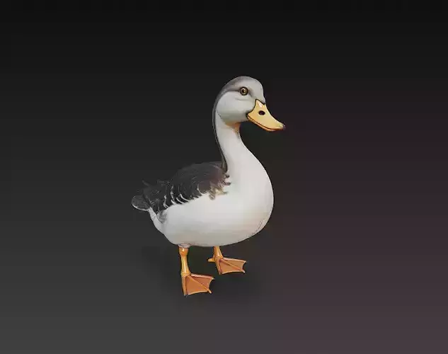 Duck Realistic 3D Model Basic - Low Poly Realistic