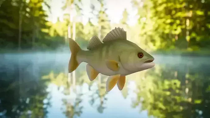 Detailed Freshwater Fish