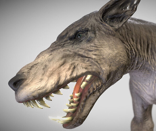 Black Shuck   Phantom Hound of the Mist Low-poly 3D model