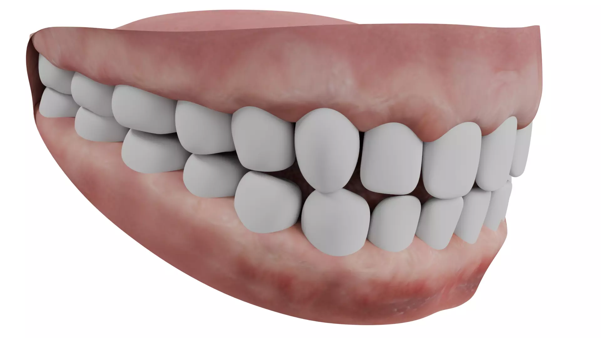 Human Teeth 3D model_0