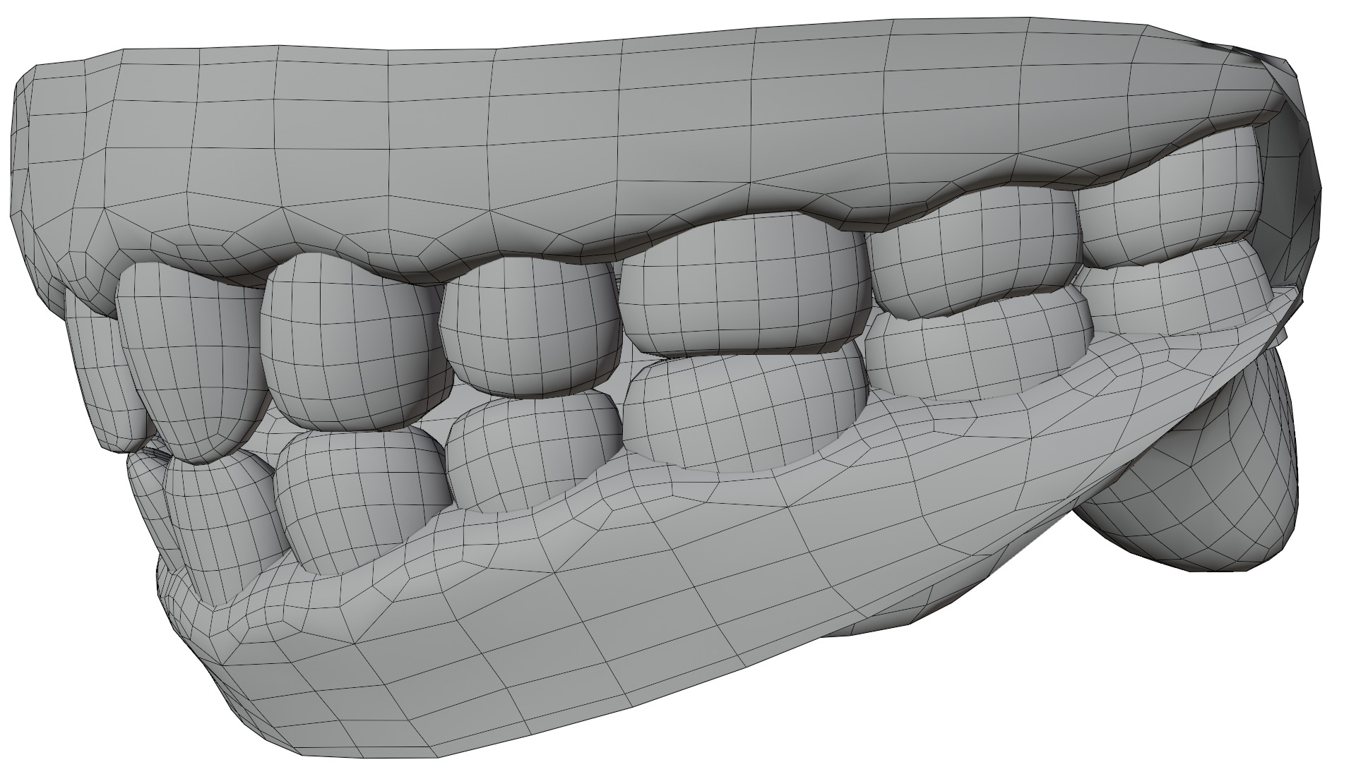 Human Teeth 3D model_12