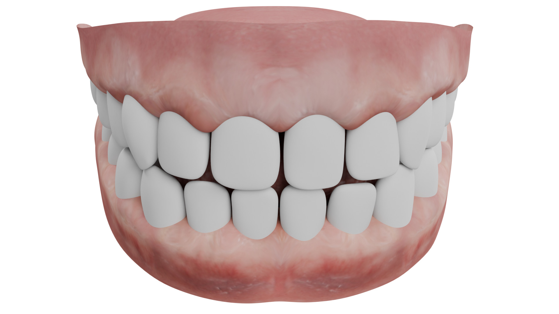 Human Teeth 3D model_1