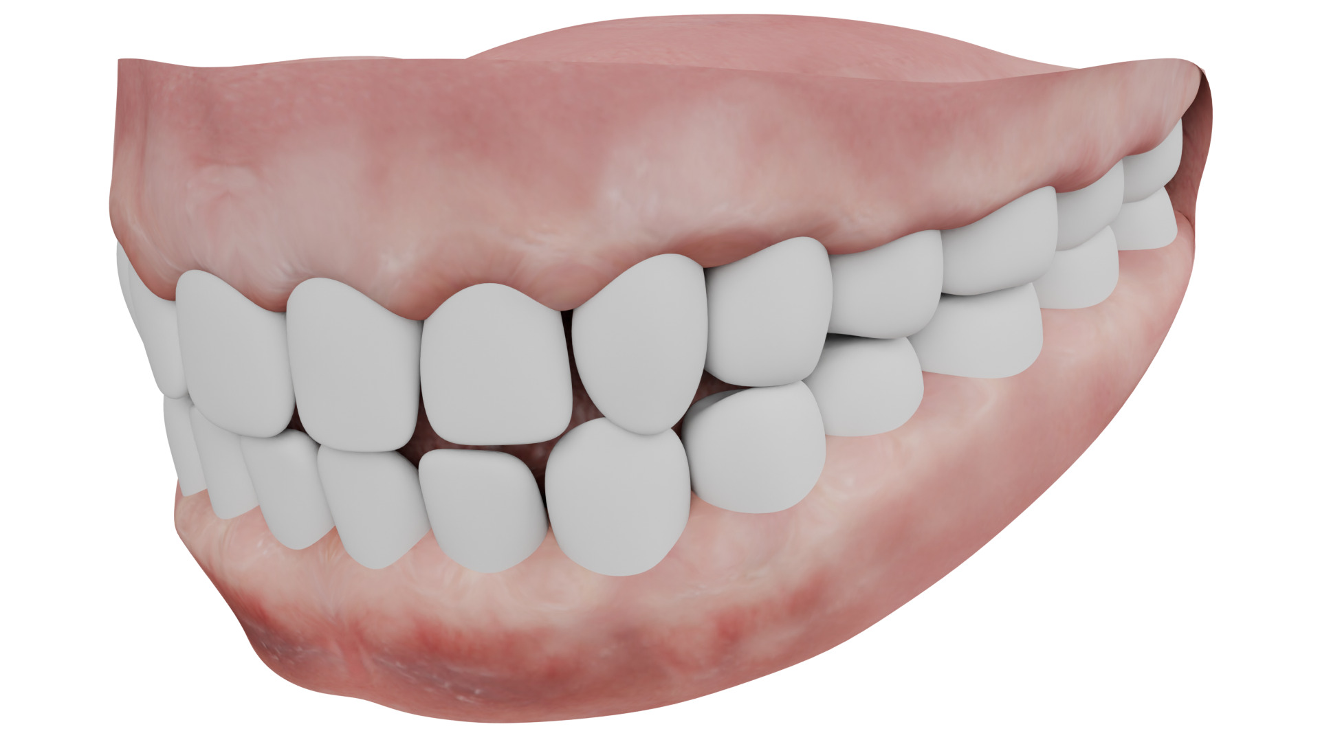Human Teeth 3D model_2