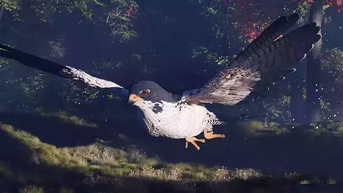  Falcon 3D Model Fully Rigged  Animated  Blender  FBX  OBJ 