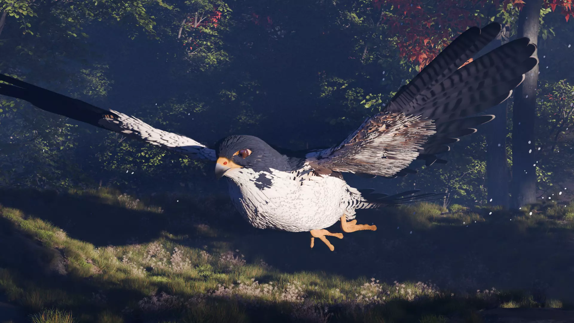 Realistic Falcon Bird 3D Model Fully Rigged 3D model