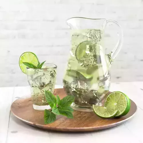 Mojito in a Glass Jug 3D model