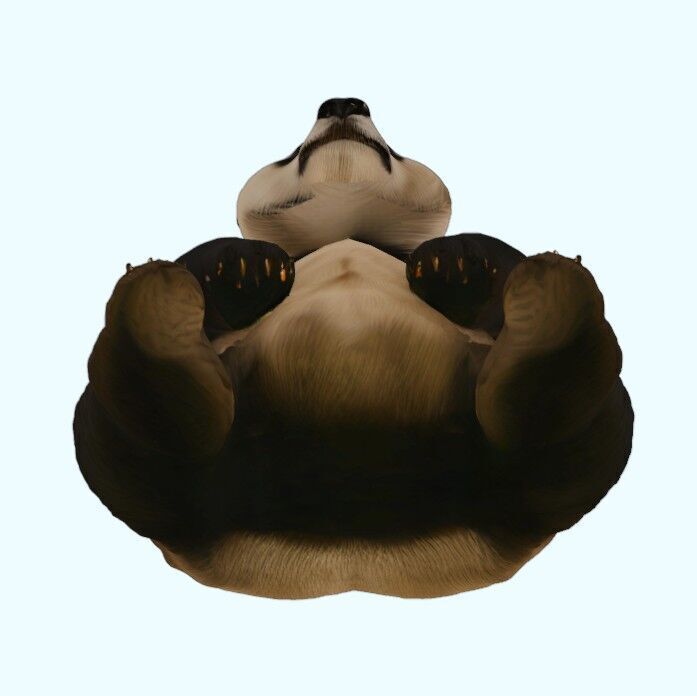 Sitting Panda 3D print model_15