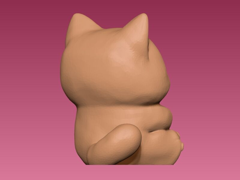 gatito con mate Argentino 3D print model_2