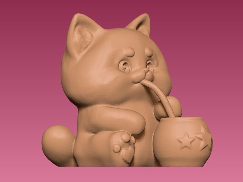 gatito con mate Argentino 3D print model_1