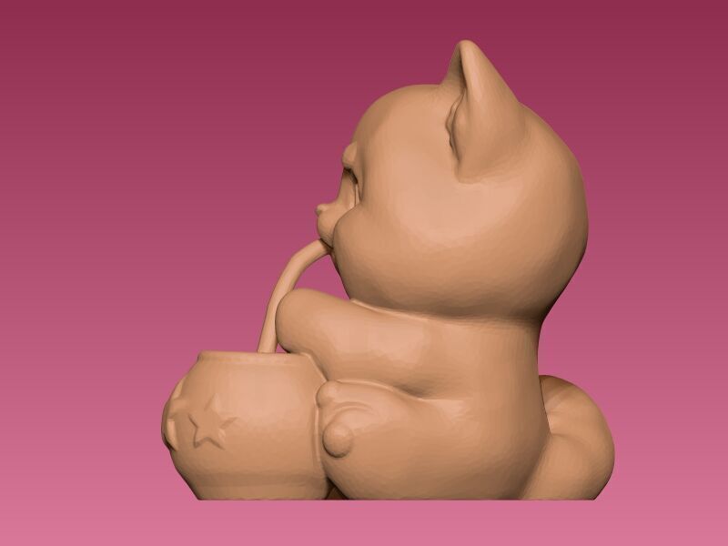 gatito con mate Argentino 3D print model_3