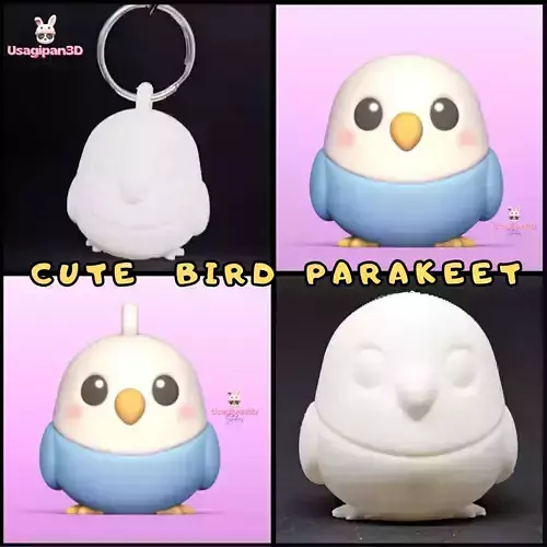 Cute Bird Parakeet