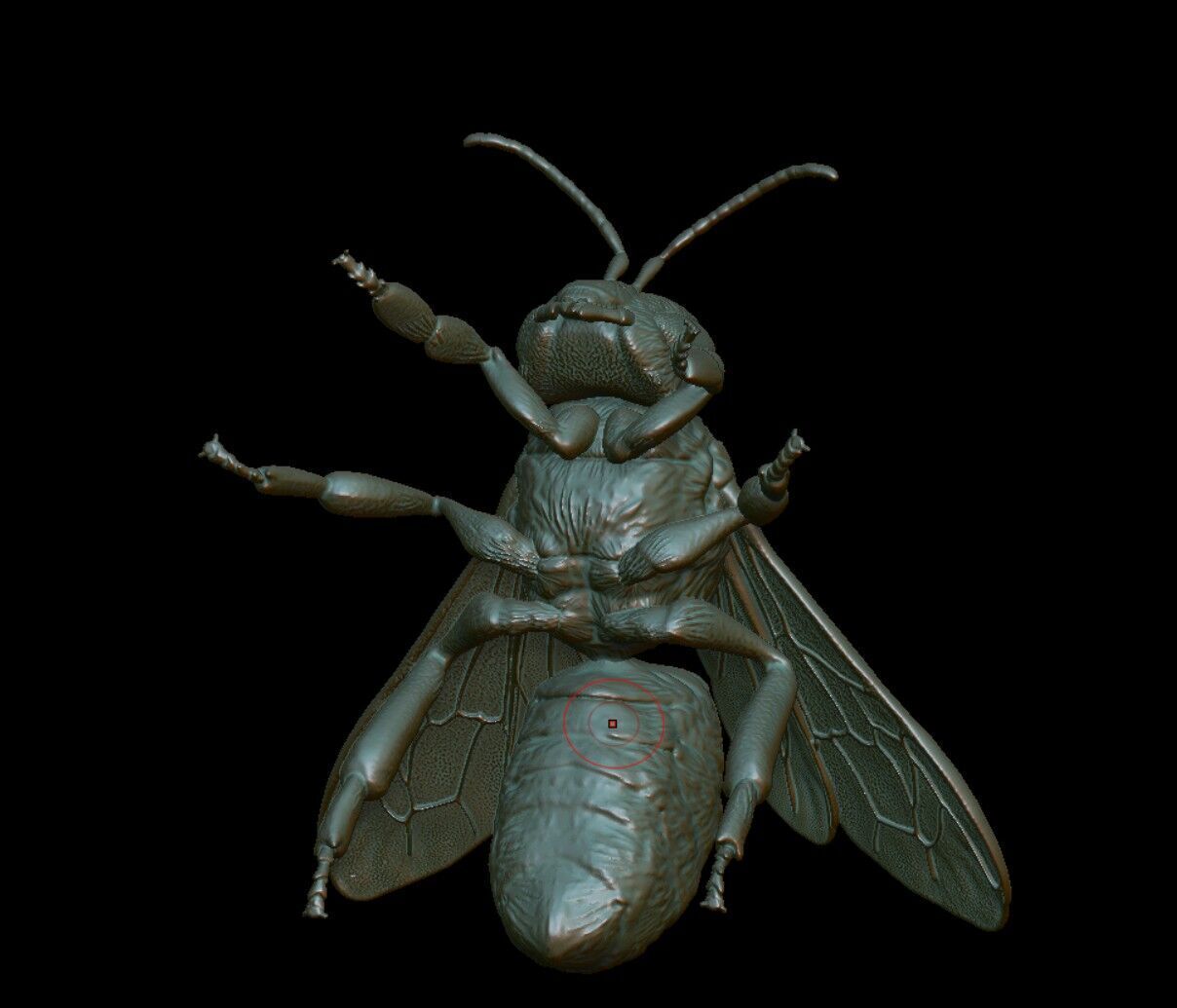 honeybee Apis Mellifera poses 3D print model_6