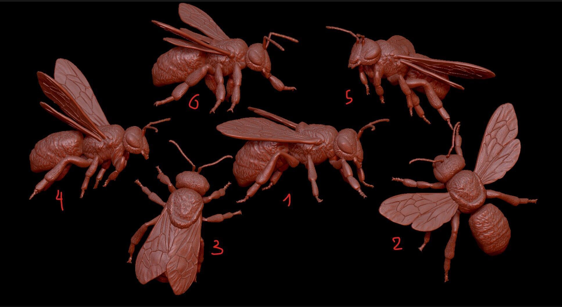 honeybee Apis Mellifera poses 3D print model_1