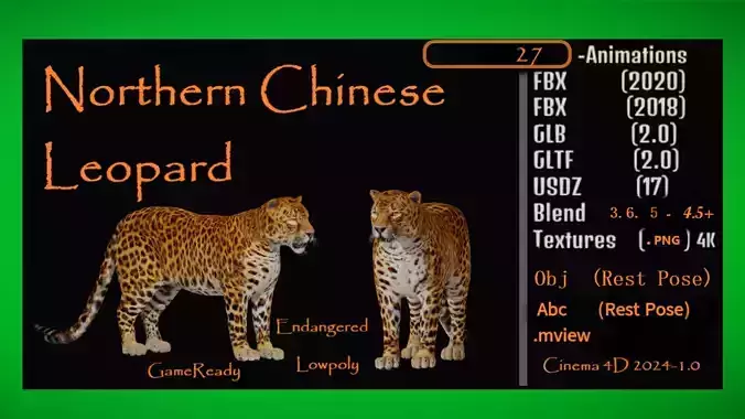 Northern Chinese Leopard