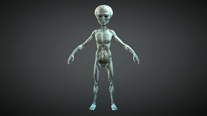 Alien Grey Humanoid -Rigged and Blendshapes  Low-poly 3D model