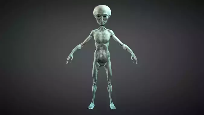 Alien Grey Humanoid -Rigged and Blendshapes  Low-poly 3D model