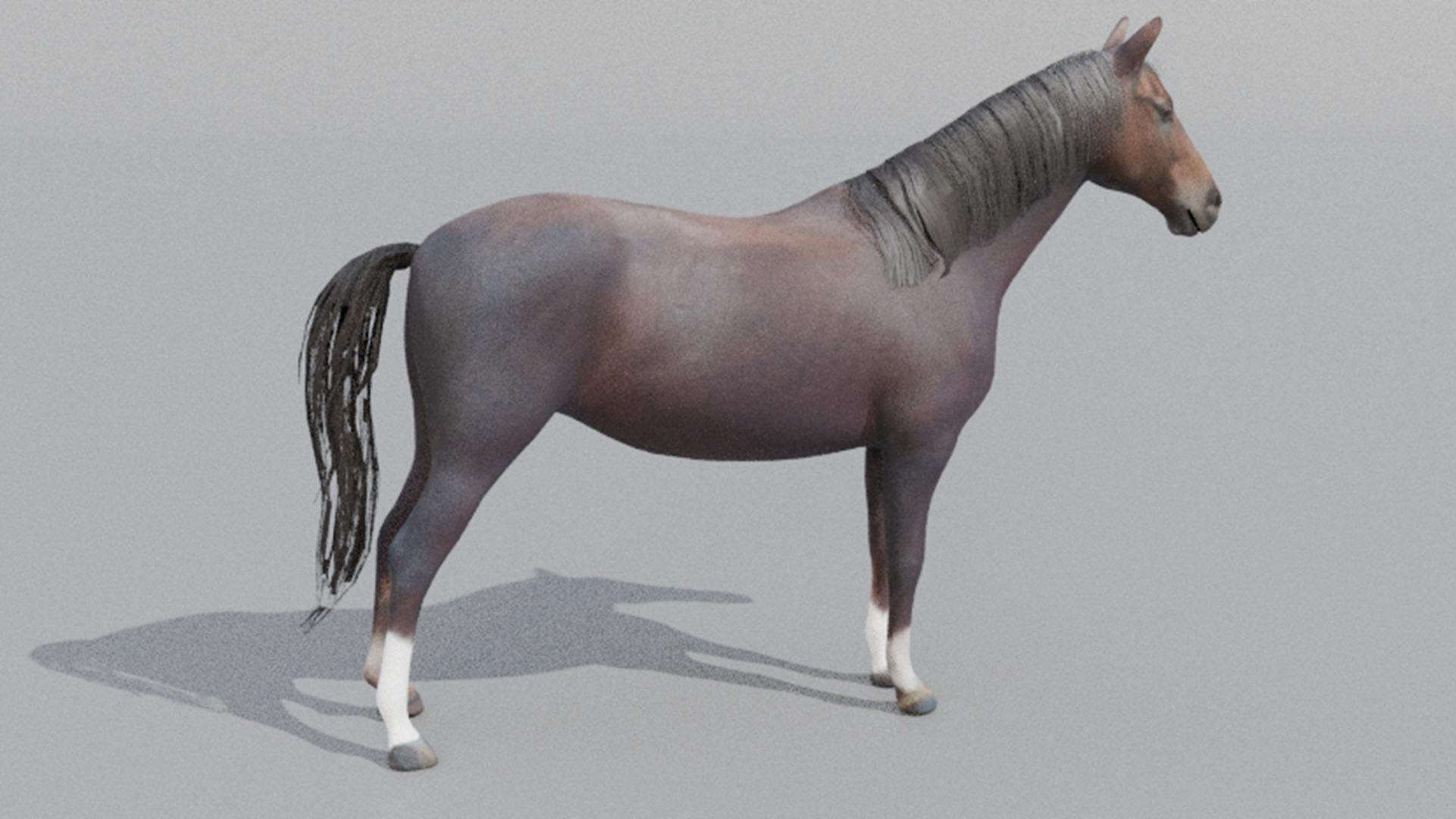 Realistic Rigged and Animated 3D Horse Model Low-poly 3D model_7