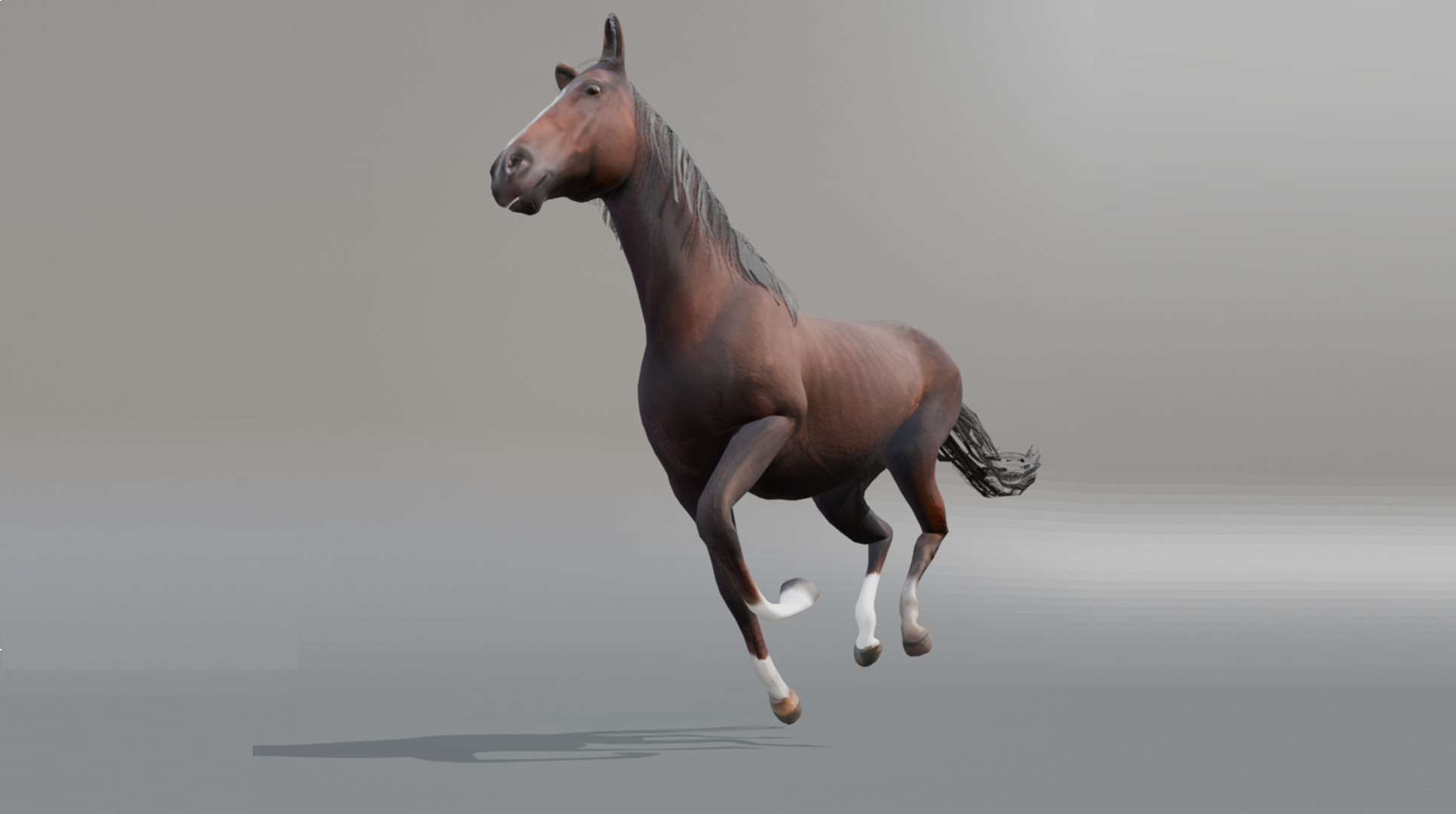 Realistic Rigged and Animated 3D Horse Model Low-poly 3D model_2