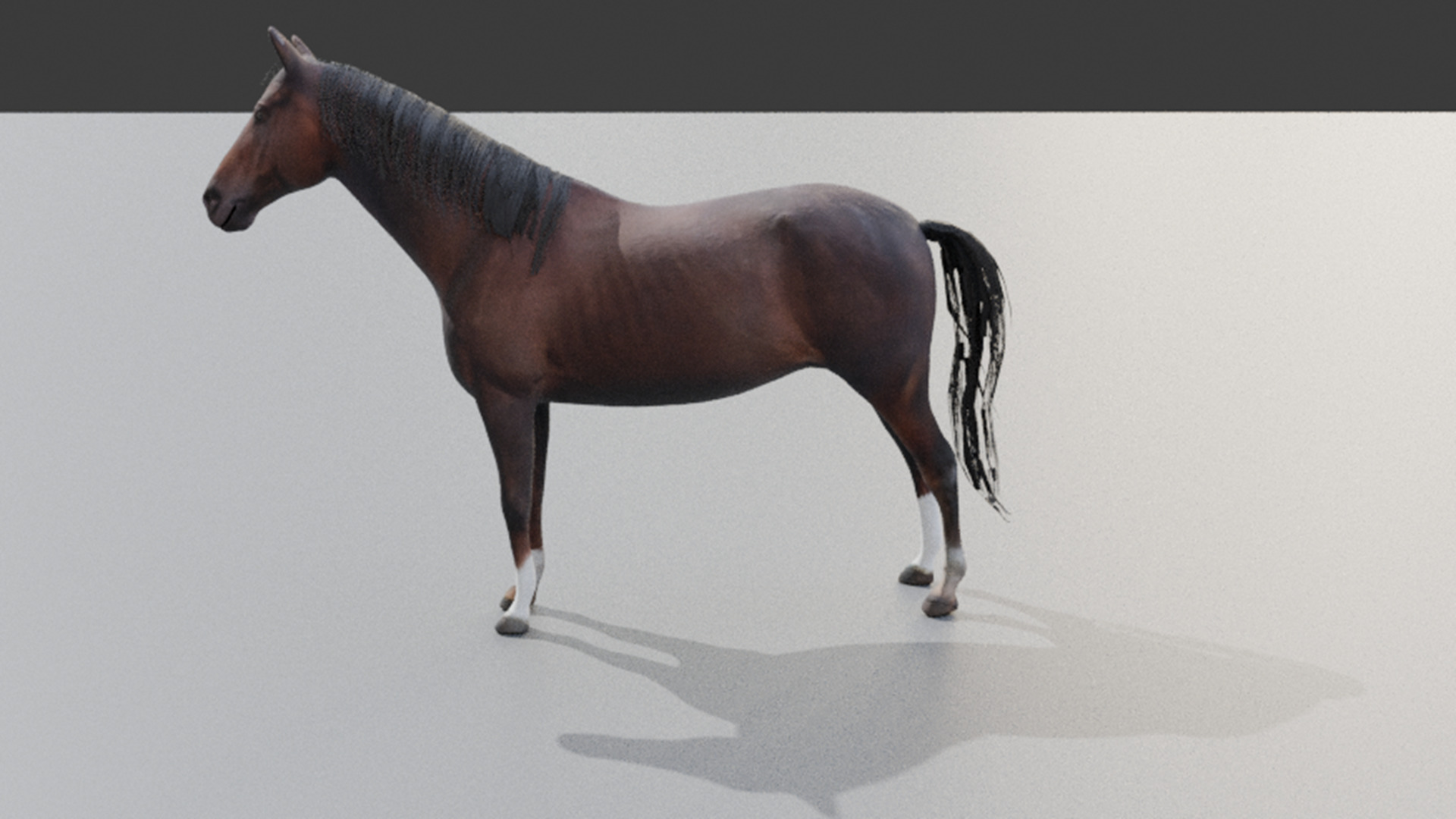 Realistic Rigged and Animated 3D Horse Model Low-poly 3D model_18