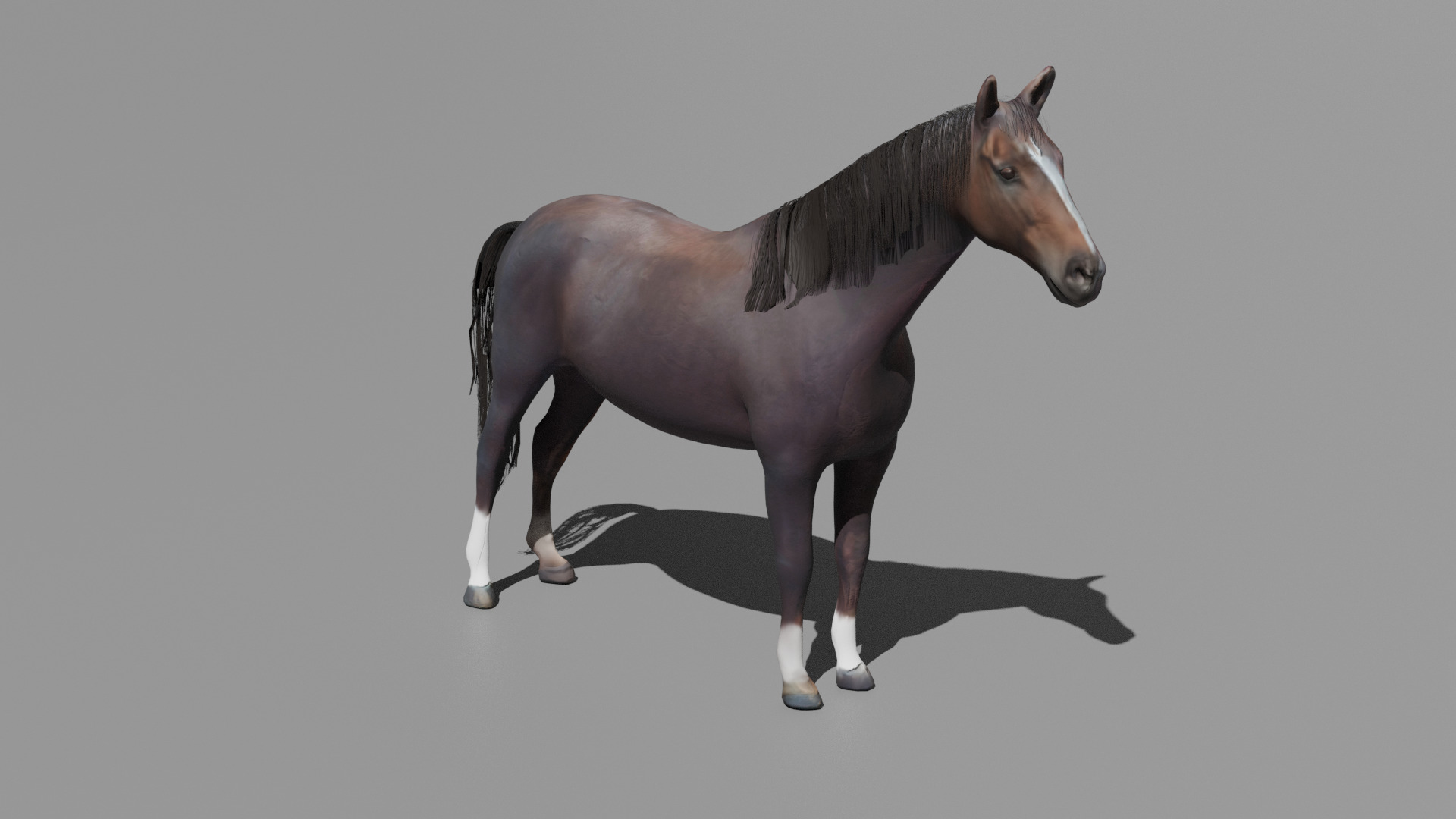 Realistic Rigged and Animated 3D Horse Model Low-poly 3D model_11