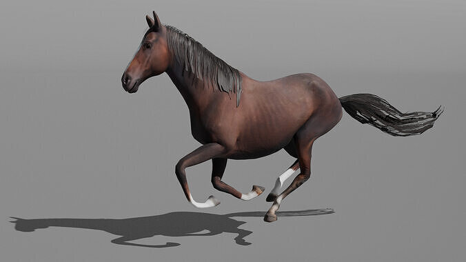 Realistic Rigged and Animated 3D Horse Model Low-poly 3D model