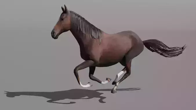 Realistic Rigged and Animated 3D Horse Model