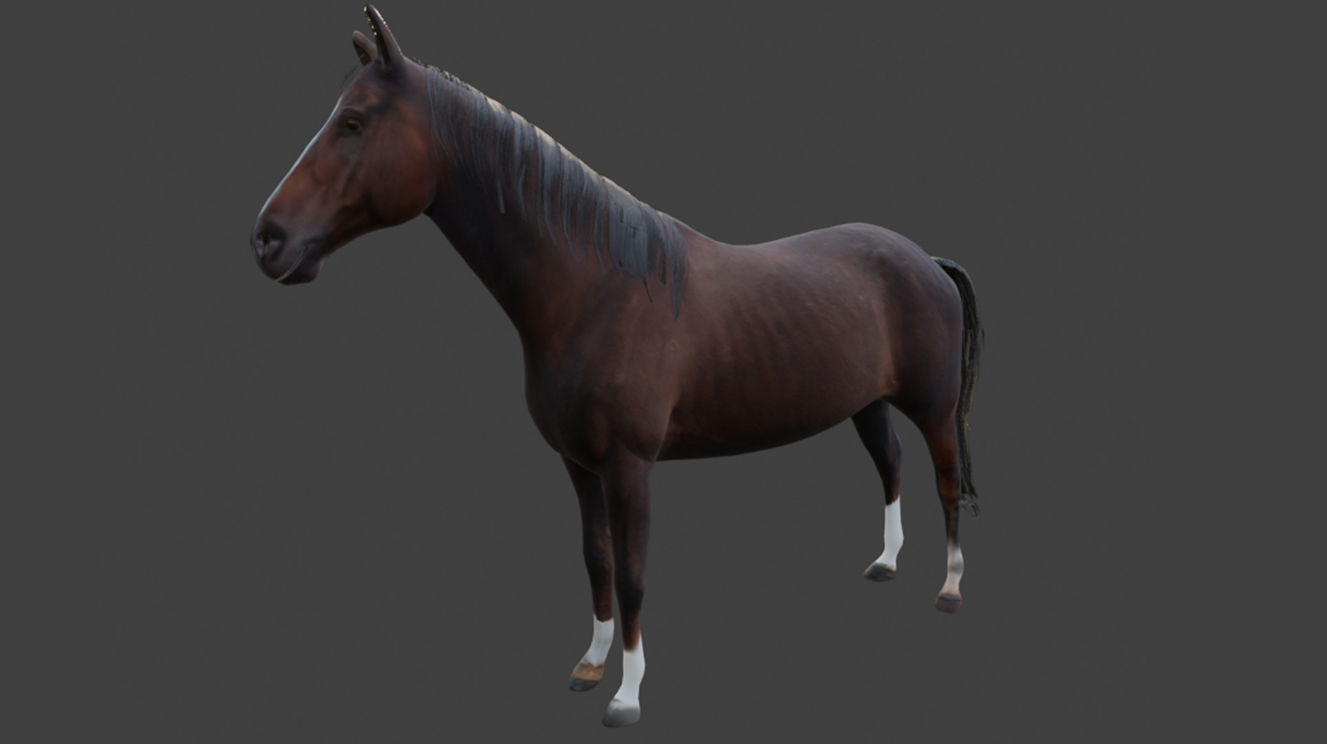 Realistic Rigged and Animated 3D Horse Model Low-poly 3D model_15
