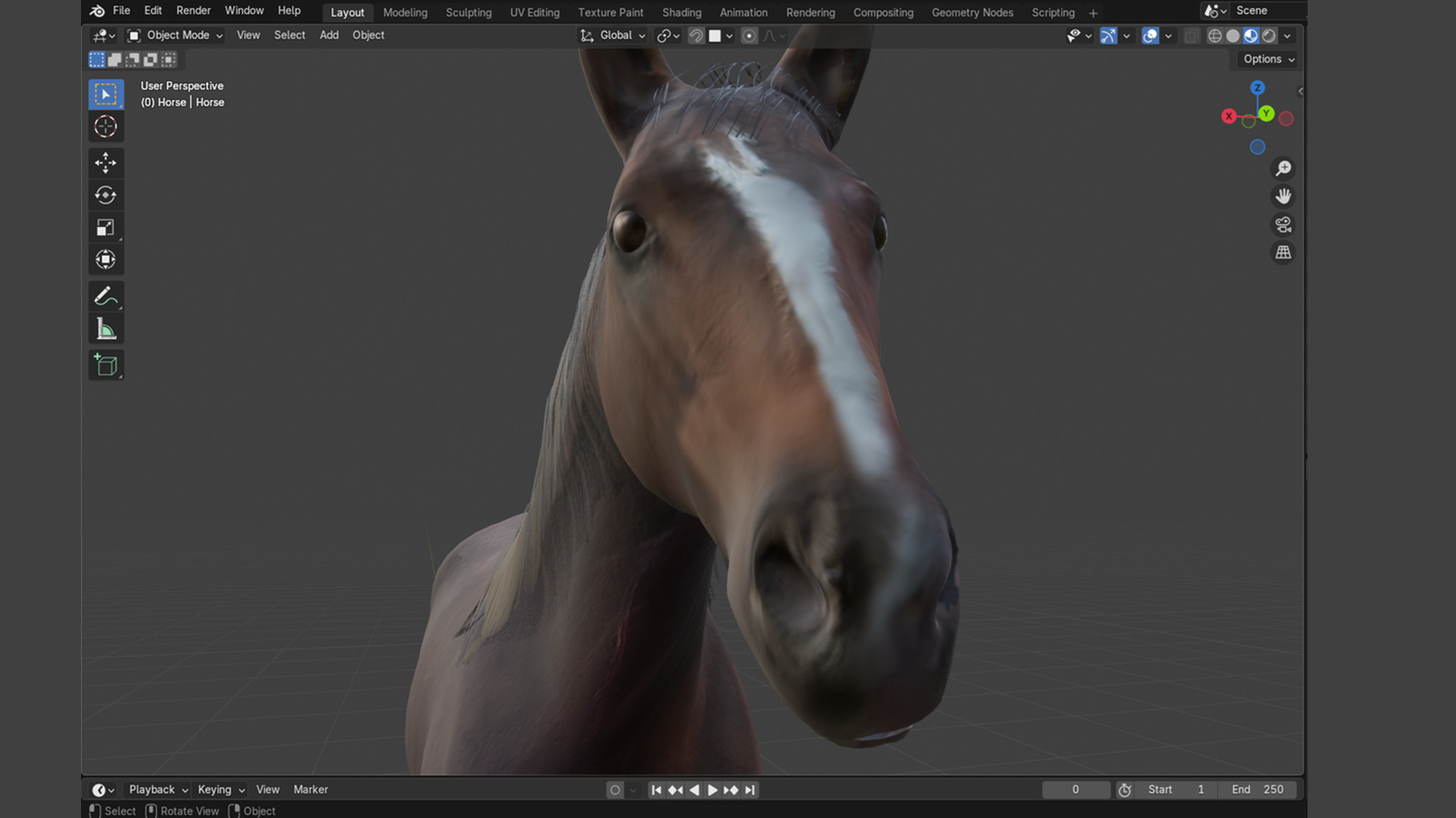 Realistic Rigged and Animated 3D Horse Model Low-poly 3D model_13
